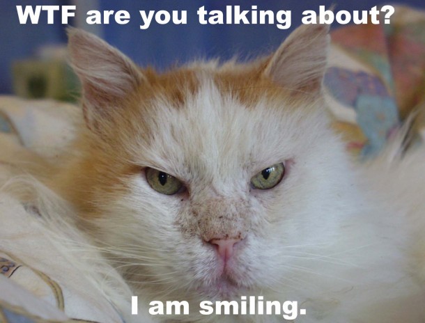 Why NO Reviews of David Icke PREACHING in MELBOURNE Oct 2011? - Page 5 Lolcat-wtf-i-am-smiling
